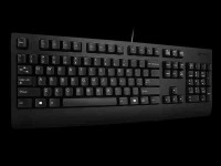 Lenovo Preferred Keyboard Black USB German