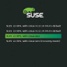 SLES x86 32/64bit 2+P 3Y Sub No Media SW SUSE LINUX Enterprise 10 (SLES 10)