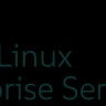 SLES x86 32/64bit Bld 1Y Sub No Media SW SUSE LINUX Enterprise 10 (SLES 10) SLES x86 32/64bit Bld 1Y Sub No Media SW SUSE LINUX Enterprise 10 (SLES 10)