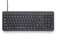 CAS 101 KEYBD NON-WIN (INTERNATIONAL)****