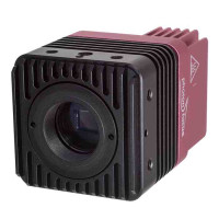 BD MV4 CAM