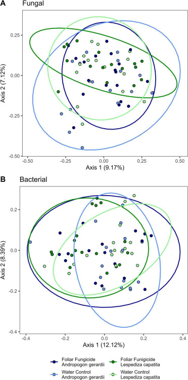 Latiude C400 LCD Assembly