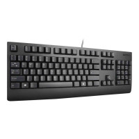Lenovo Preferred Keyboard Black USB Euro US