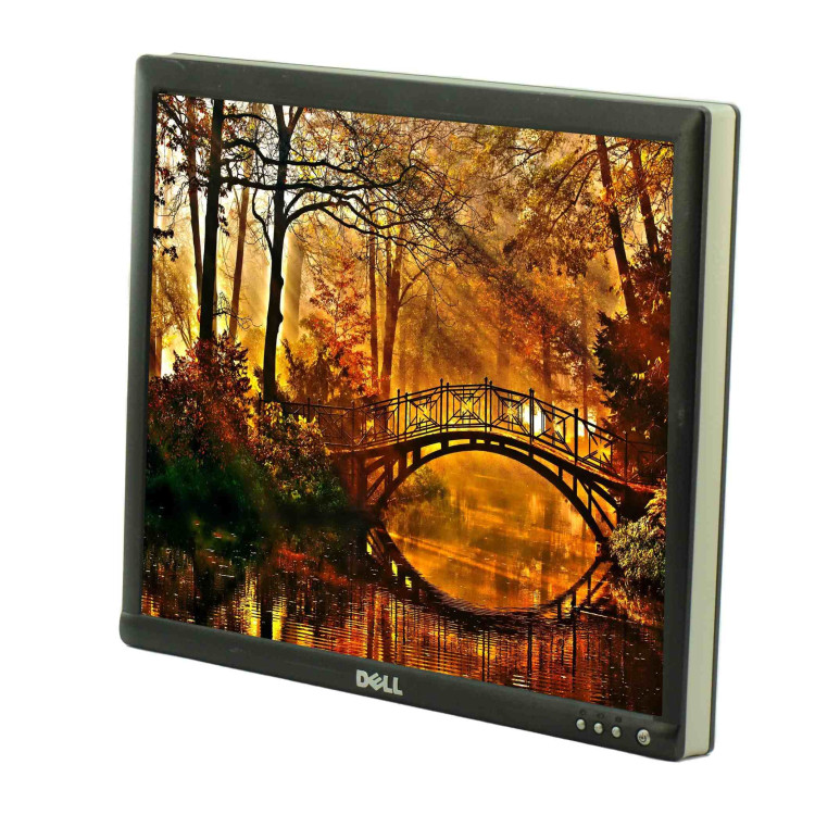 DIS, FPL, 17, D, 1703FPT, MG, ROW