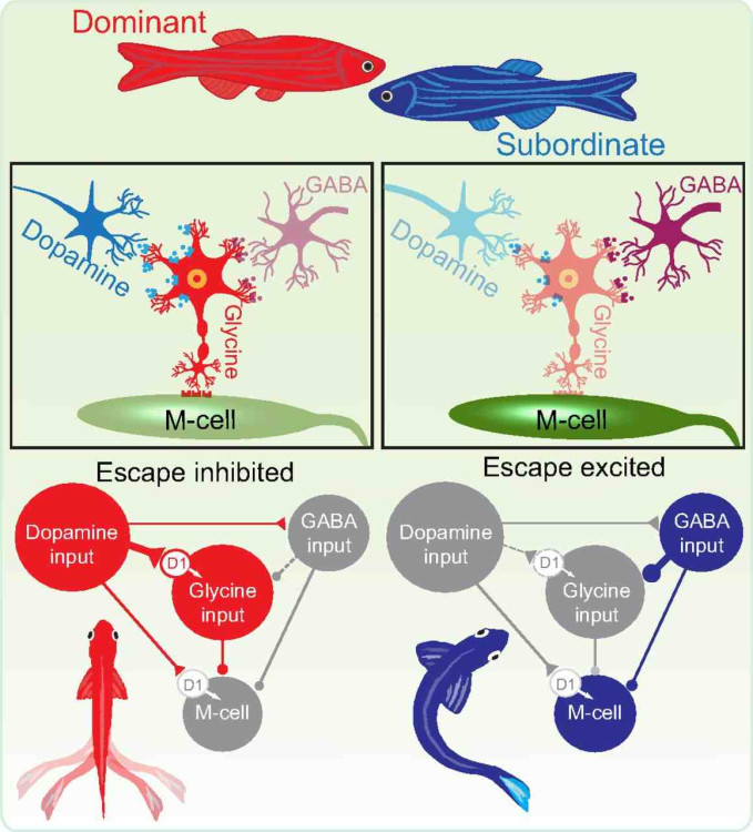 POWEREDGE 500SC SYSTEM BOARD