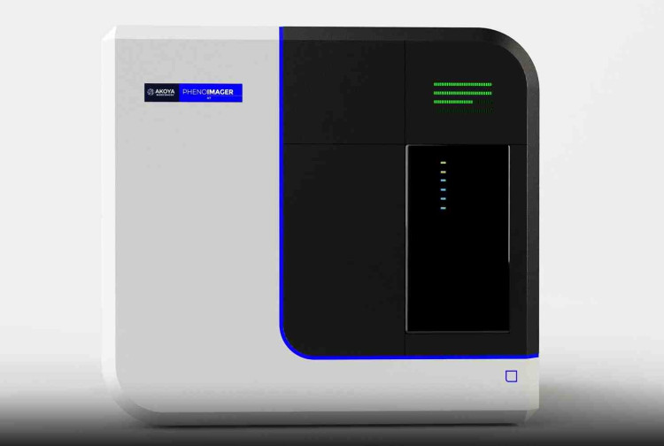 PWA, PLN, ASTRO, NIC, 4RIMM, OPPLX