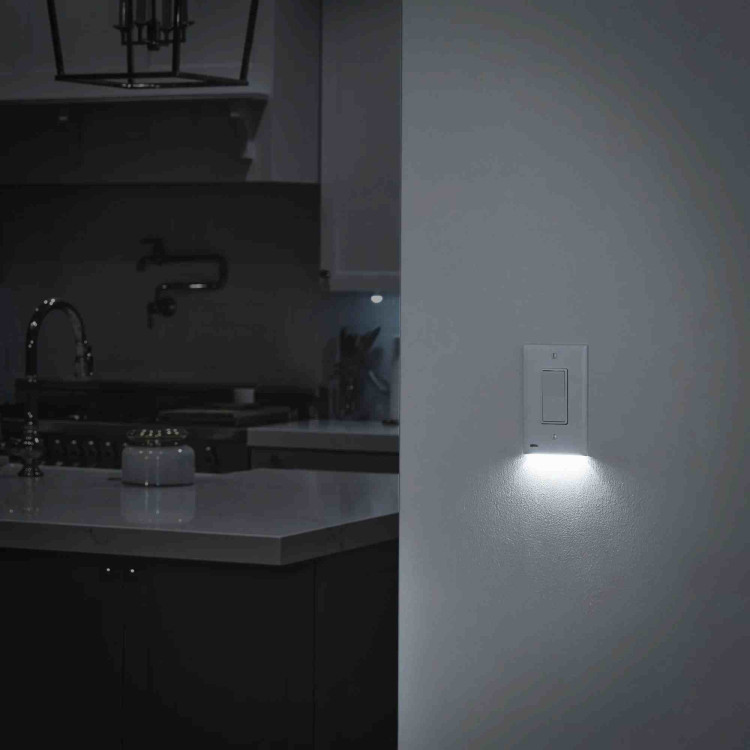 SWITCH,PWR,W/CA & LED"S