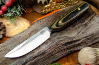 CRD, CTL, MN-PNL, PV136T, V3