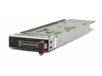 MSA 1500 Dual Channel SCSI I/O Module 1Y