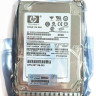 HP 300GB 10K 2.5" SAS 6G DUAL PORT SC ENT HARD DRIVE 653955-001