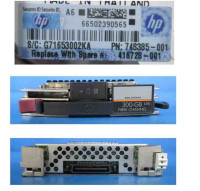 HP EVA 300GB 15K FC Add on HDD