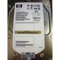 HP EVA M6412A 600GB 10K FC Dri