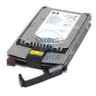 CLEAN TESTED 350965-B21 HP 300GB 10K Ultra320 Universal HDD 80 Pins W/ Tray CLEAN TESTED 350965-B21 HP 300GB 10K Ultra320 Universal HDD 80 Pins W/ Tray
