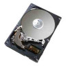 DRV,HD,80G,7200,SATA