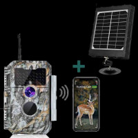 615 AT64x2 RM-74/2GB/320GB/DVDRW/15"HD/WVB