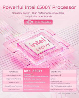 PL6400/6500 PIII X500/512K Processor