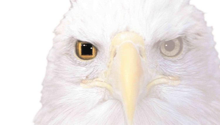 PWA,PLN,DIM8100,AGP,NONIC PWA,PLN,DIM8100,AGP,NONIC