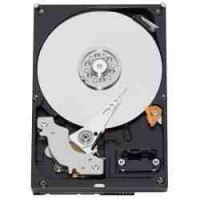 IBM 80Gb Disk Drive SATA II, 3Gb/s, Hot Swap