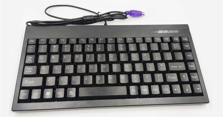 PS/2 Keyboard (Carbon)