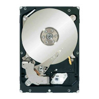 ST3300656SS SEAGATE 300GB 15K SAS HARD DRIVE