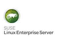 SUSE LINUX ENT SERVER 10 - 32/64****