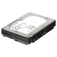 160Gb Disk Drive SATA II, 3Gb/s, Hot Swap