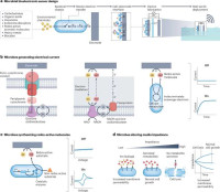HP 6870 Virtual Library System LJ