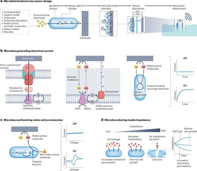 HP 6870 Virtual Library System LJ