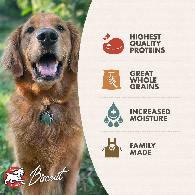 CD, 656/748M, I, F5, 12X, FWBO3, MIT