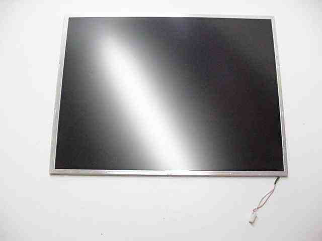 DELL 12.1 XGA LCD SCREEN DELL 12.1 XGA LCD SCREEN