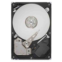 IBM DS4000 SATA 400GB 7200 DDM