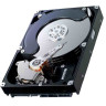 HP 250GB 7200 RPM SATA 3.5" HOT PLUG HARD DRIVE 352561-001 HP 250GB 7200 RPM SATA 3.5" HOT PLUG HARD DRIVE 352561-001